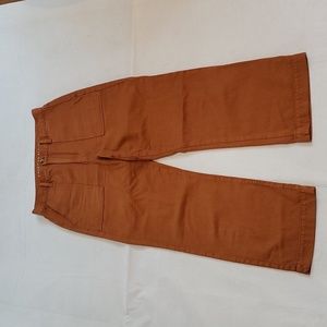 American Eagle Cropped Pants size 10